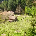 Comfortable House In + Pool * Биббьена