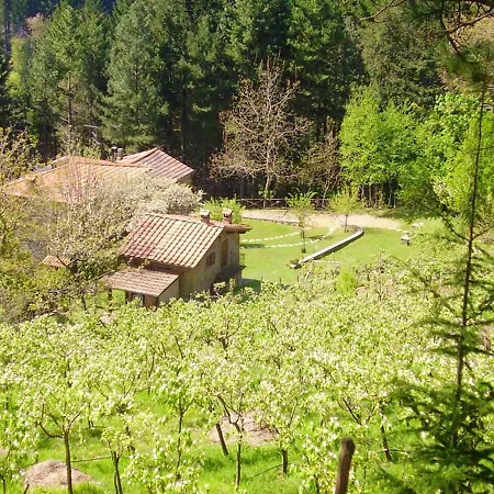 Comfortable House In + Pool * Bibbiena