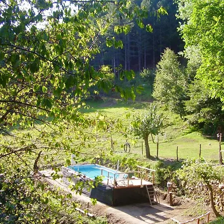 Comfortable House In + Pool Prázdninový dům Bibbiena