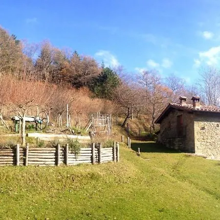 Comfortable House In + Pool Holiday home Bibbiena