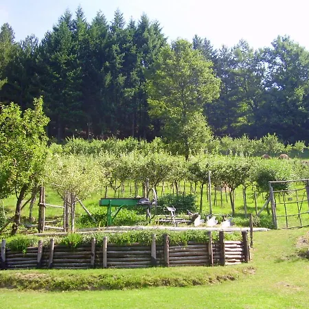 Comfortable House In + Pool Holiday home Bibbiena