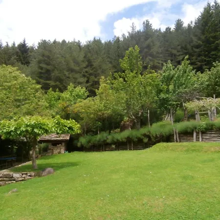 Comfortable House In + Pool Holiday home