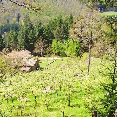 Comfortable House In + Pool Bibbiena